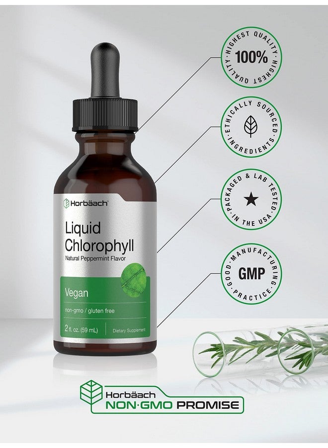 Horbäach Liquid Chlorophyll Drops | 2 oz | Vegan, Non-GMO, and Gluten Free Formula | Natural Peppermint Flavor - Image 5