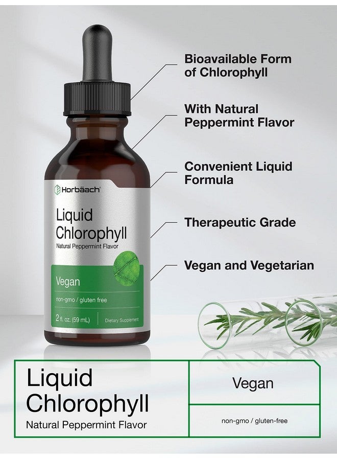 Horbäach Liquid Chlorophyll Drops | 2 oz | Vegan, Non-GMO, and Gluten Free Formula | Natural Peppermint Flavor - Image 3