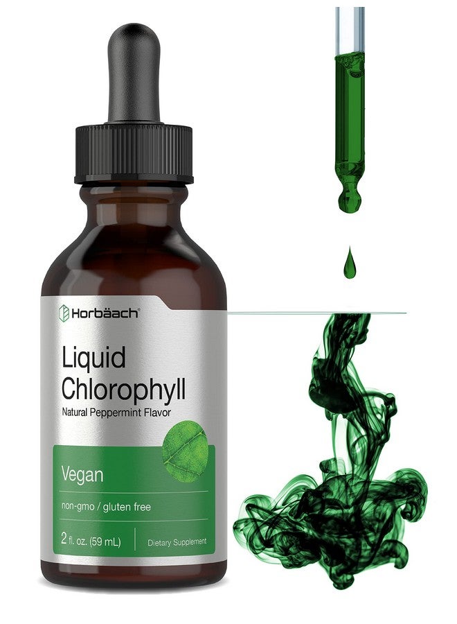 Horbäach Liquid Chlorophyll Drops | 2 oz | Vegan, Non-GMO, and Gluten Free Formula | Natural Peppermint Flavor - Image 1
