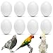 WOLEDOE 8Pcs Solid Plastic Parrot Fake Eggs Keeping Them from Laying Anymore Eggs Suit for Medium and Large Parrots Pigeon African Grey Caique Cockatoo Sun Conures and Mini Macaw - Image 3