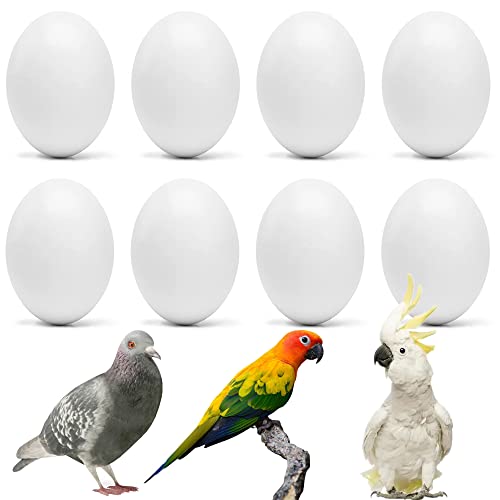 WOLEDOE 8Pcs Solid Plastic Parrot Fake Eggs Keeping Them from Laying Anymore Eggs Suit for Medium and Large Parrots Pigeon African Grey Caique Cockatoo Sun Conures and Mini Macaw - Image 1