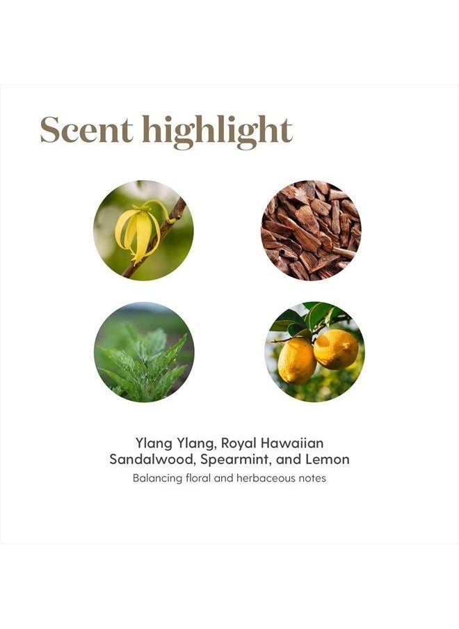 Young Living Release Essential Oil 15ml - Soothing Aromatherapy - Support Emotional Release & Letting Go - Topical & Aromatic - Find Relief and Renewal  - Image 5