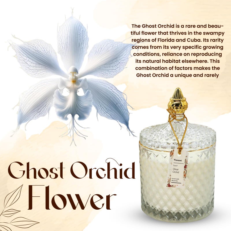 VIONAMI Luxury Scented Candle Gift â€“ Ghost Orchid Rare Flower Fragrance in Elegant Glass Jar, Decorative Soy Candles Gifts for Women, Long-Lasting 80 Hr, 14.8 oz, Luxury Candles for Women - Image 2