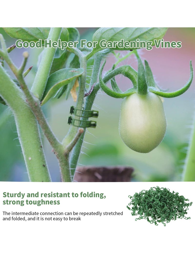 Generic 300 Pieces Green Plastic Plant Clips for Vegetable Root and Stem Support - Essential Gardening Accessories for Farmers, Gardeners, and Home Gardens. Perfect for Plant Tying and Rattan Tools.  - Image 5
