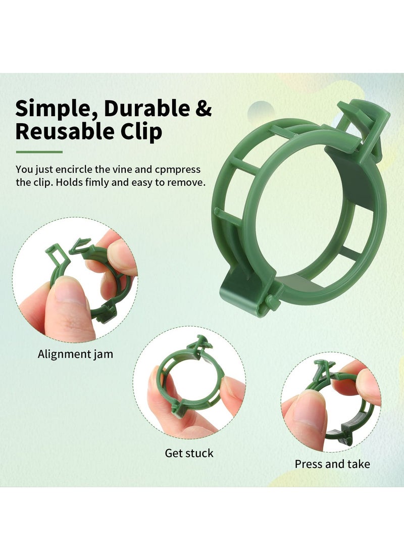 Generic 300 Pieces Green Plastic Plant Clips for Vegetable Root and Stem Support - Essential Gardening Accessories for Farmers, Gardeners, and Home Gardens. Perfect for Plant Tying and Rattan Tools.  - Image 3
