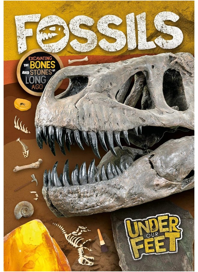 BookLife Publishing Fossils  - Image 1