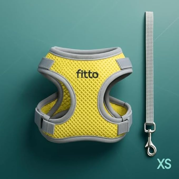 Fitto Pet Harness and Lead Set XS 13.5x10.5cm Adjustable Small Dog Puppy Cat Walking Vest Leash - Image 1