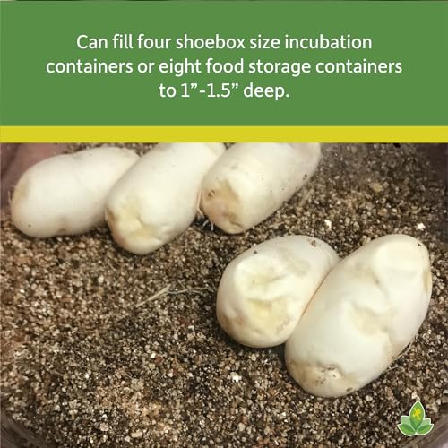 Josh's Frogs Vermiculite for Incubating Reptile Eggs, Housing Crickets and Starting Seeds (10 Quarts) - Image 3