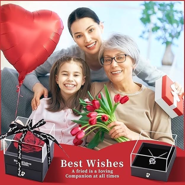 KHOLDI KHOLDI Birthday Gift for Girls Girlfriend Wife Mom Mother Girls Women Friends Anniversary Wedding Valentine Gift Preserved Red Rose Flower Box with I Love You in 100 Languages Silver Necklace  - Image 3
