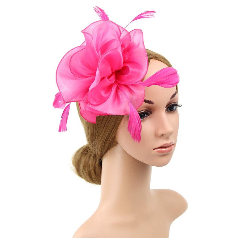 DRESHOW Fascinators Hat Tea Party Headwear Ribbons Feathers on a Headband and a Clip for Women - Image 2