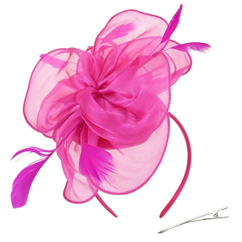 DRESHOW Fascinators Hat Tea Party Headwear Ribbons Feathers on a Headband and a Clip for Women - Image 1