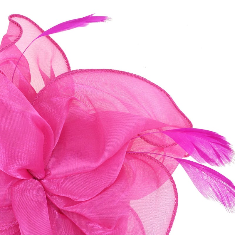 DRESHOW Fascinators Hat Tea Party Headwear Ribbons Feathers on a Headband and a Clip for Women - Image 4