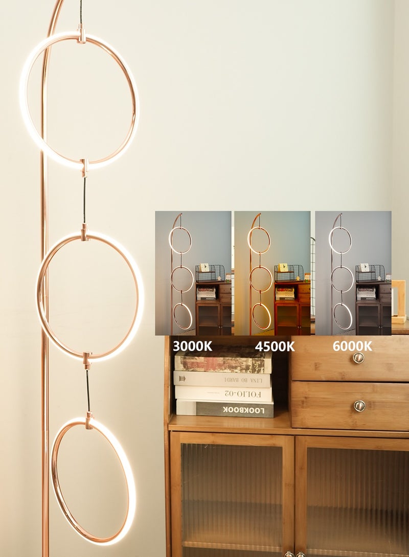 Onelight Creative 3-Circle Floor Lamp For Home Bedroom and Living Room, Adjustable White Light and Warm Light, with Foot Switch - Image 3