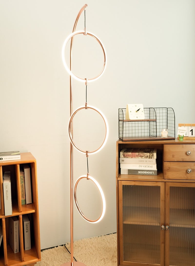 Onelight Creative 3-Circle Floor Lamp For Home Bedroom and Living Room, Adjustable White Light and Warm Light, with Foot Switch - Image 4