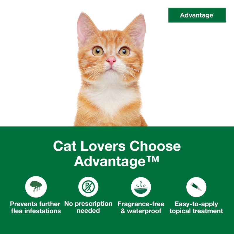 Advantage Topical Cat Flea Treatment and Prevention for Small Cats 2-9 lbs. | Apply Flea Drops Monthly | 2 Treatments - Image 3