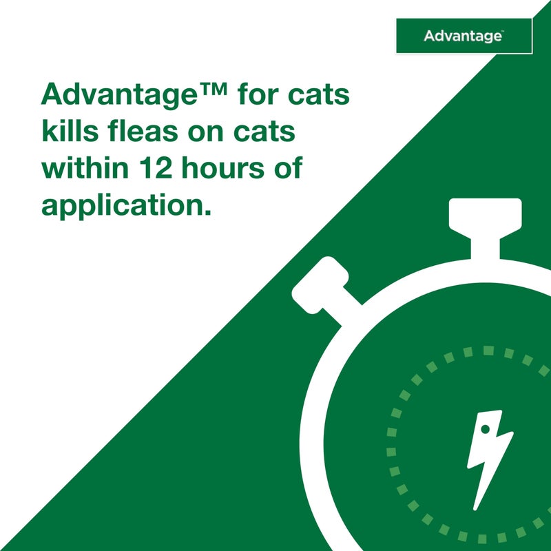 Advantage Topical Cat Flea Treatment and Prevention for Small Cats 2-9 lbs. | Apply Flea Drops Monthly | 2 Treatments - Image 5