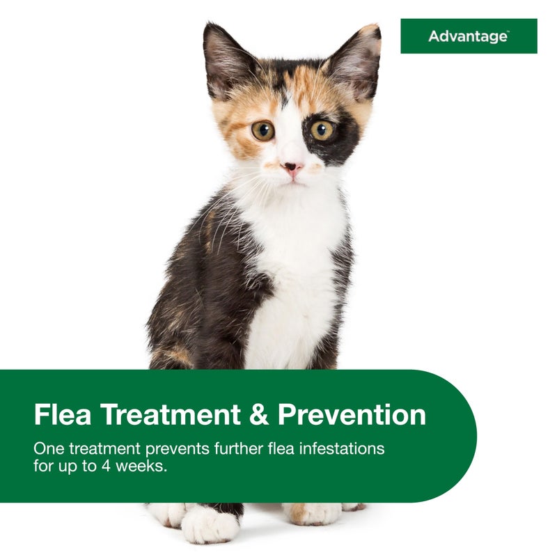 Advantage Topical Cat Flea Treatment and Prevention for Small Cats 2-9 lbs. | Apply Flea Drops Monthly | 2 Treatments - Image 4