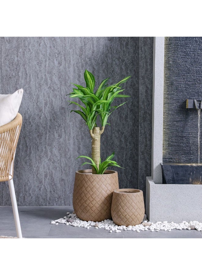 DANUBE HOME نبات مزروع في وعاء حديدي برازيلي متميز - 55 ورقة، شجرة صناعية واقعية للديكور الداخلي أو الخارجي، لمسة أنيقة للمنزل أو المكتب أو الشرفة، متينة وأنيقة 107 سم - Image 5