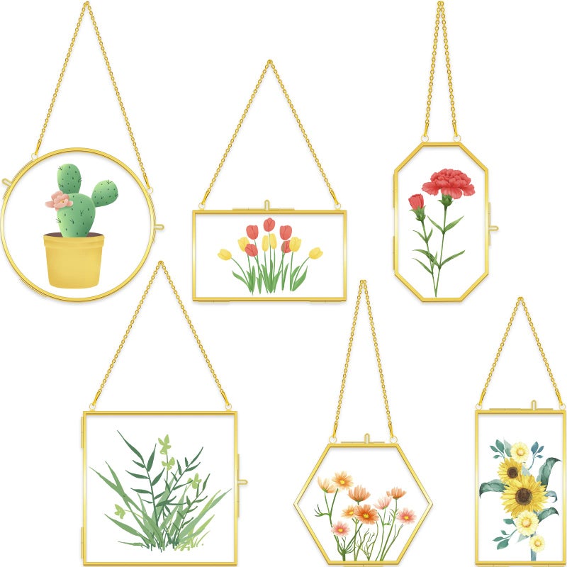 Tuanse 6 Pcs Brass Glass Frame for Pressed Flowers Clear Double Glass Floating Artwork Display Hanging Picture Frames with Chain for Gallery Wall Decor Dried Plant Leaf 6 Shapes Gold