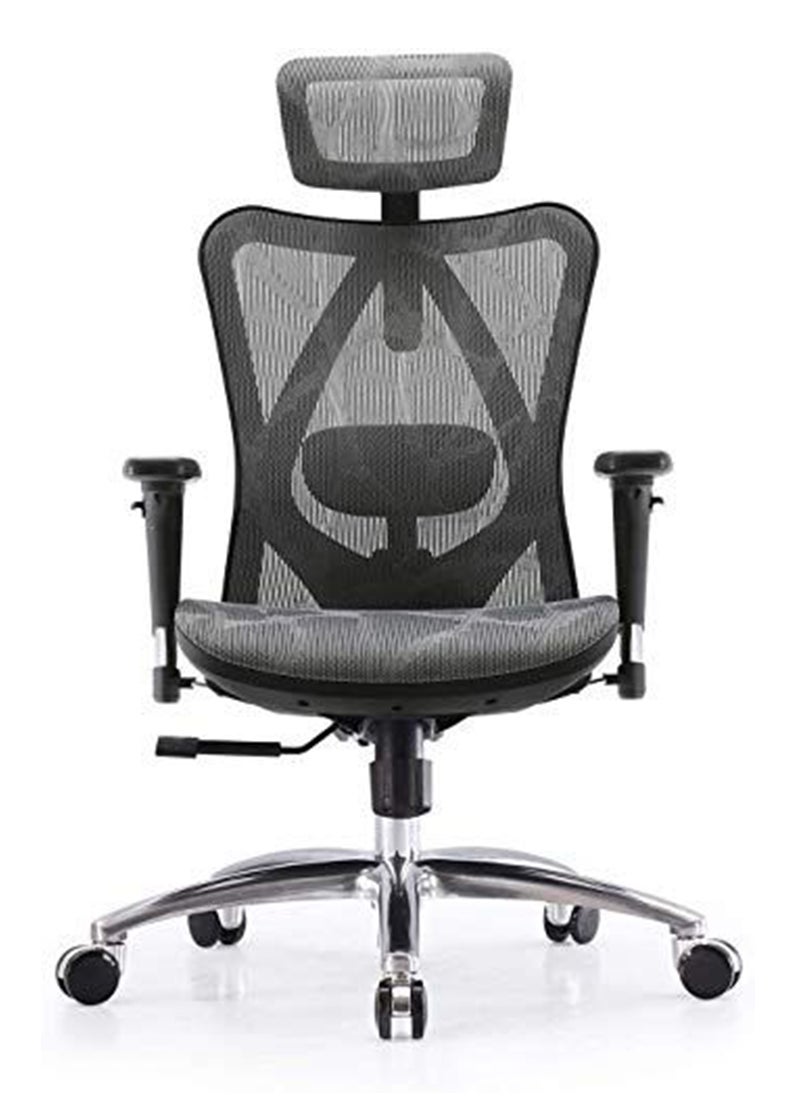 SIHOO - Sihoo M57 Ergonomic Adjustable Office Chair With 3D Arm Rests And Lumbar Support - High Back With Breathable Mesh - Mesh Seat Cushion - Grey - Image 1
