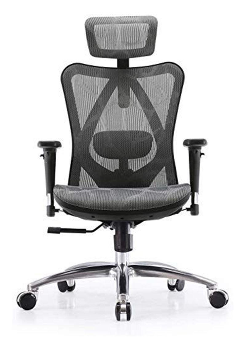 SIHOO - Sihoo M57 Ergonomic Adjustable Office Chair With 3D Arm Rests And Lumbar Support - High Back With Breathable Mesh - Mesh Seat Cushion - Grey - Image 1