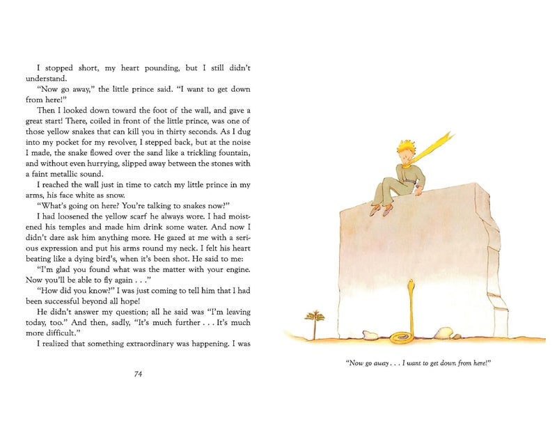 The Little Prince - Image 4