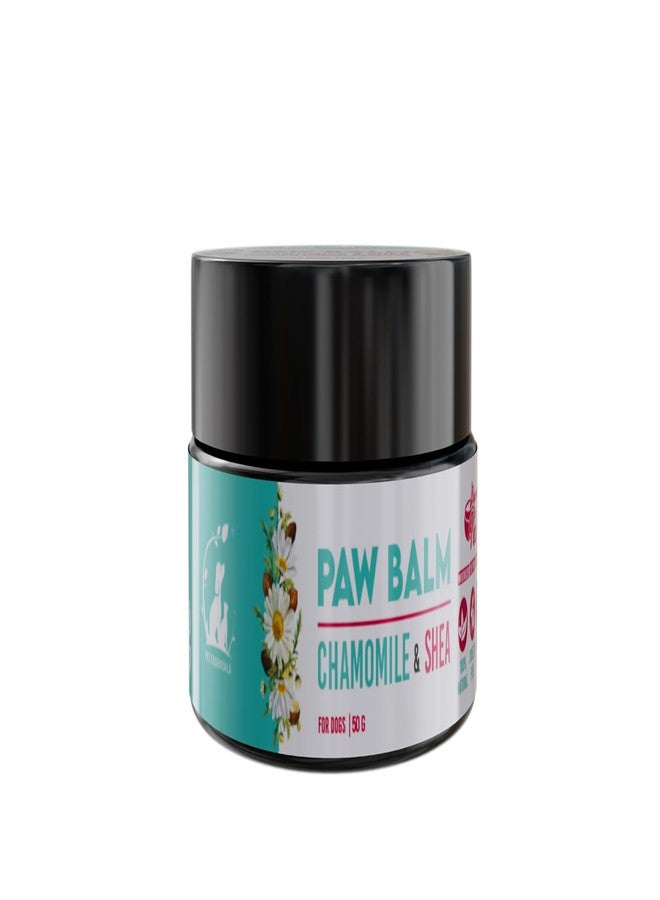 Pet Essentials Chamomile & Shea Paw Balm 50g | Paw Moisturizer for Dogs | Soothes Dry & Cracked Paws | 100% Natural & Ayurvedic | Chemical-Free & Cruelty-Free | Shea Butter & Vitamin E - Image 1