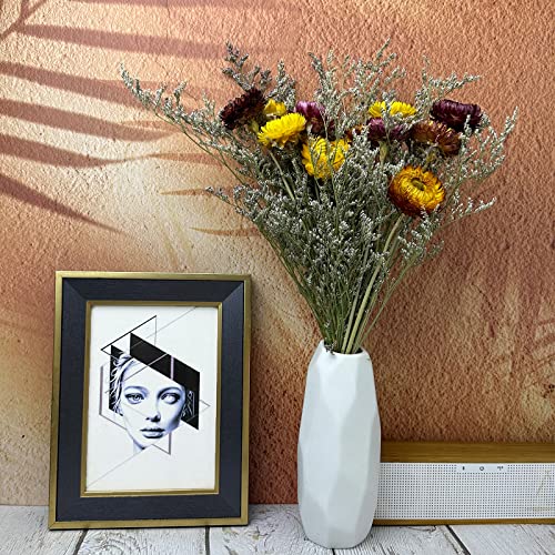 Birtlynn Preserved Caspia Statice Flower Bouquets, 100% Natural Long Lasting Flowers, 17 Inch Arrangements for Vase, Home Decoration Photo Props Parties and Weddings, DIY Décor-Statice - Image 5