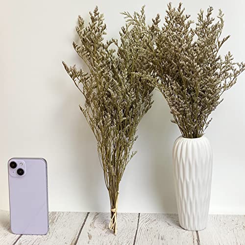 Birtlynn Preserved Caspia Statice Flower Bouquets, 100% Natural Long Lasting Flowers, 17 Inch Arrangements for Vase, Home Decoration Photo Props Parties and Weddings, DIY Décor-Statice - Image 3