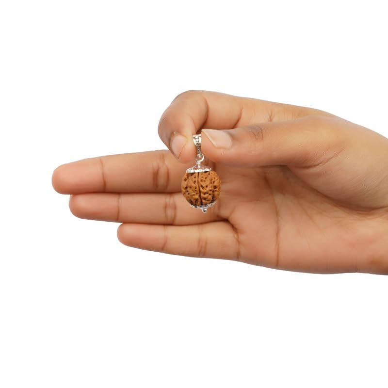 GEMSMANTRA 4 Mukhi Rudraksha with Pendant in 92.5 Sterling Silver | Original Nepali | Regular Size | Natural and Lab Certified | Self-Expressing and Eliminating Inhibitions for Men & Women - Image 4