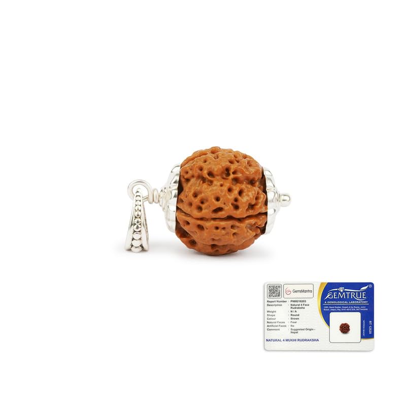 GEMSMANTRA 4 Mukhi Rudraksha with Pendant in 92.5 Sterling Silver | Original Nepali | Regular Size | Natural and Lab Certified | Self-Expressing and Eliminating Inhibitions for Men & Women - Image 1