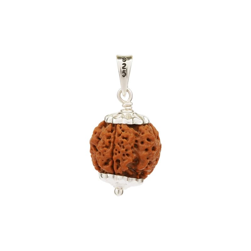 GEMSMANTRA 4 Mukhi Rudraksha with Pendant in 92.5 Sterling Silver | Original Nepali | Regular Size | Natural and Lab Certified | Self-Expressing and Eliminating Inhibitions for Men & Women - Image 3