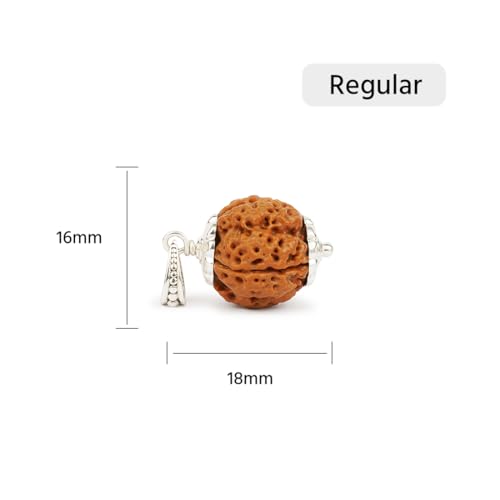 GEMSMANTRA 4 Mukhi Rudraksha with Pendant in 92.5 Sterling Silver | Original Nepali | Regular Size | Natural and Lab Certified | Self-Expressing and Eliminating Inhibitions for Men & Women - Image 2