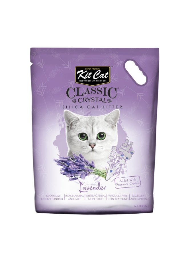 كيت كات رمل القطط كيت كات الكريستالي الكلاسيكي – لافندر - Image 3