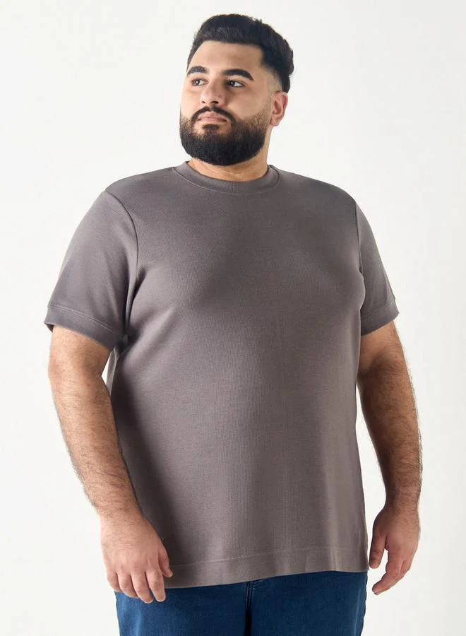 Plus Size Regular Fit T-shirt with Crew Neck and Short Sleeves