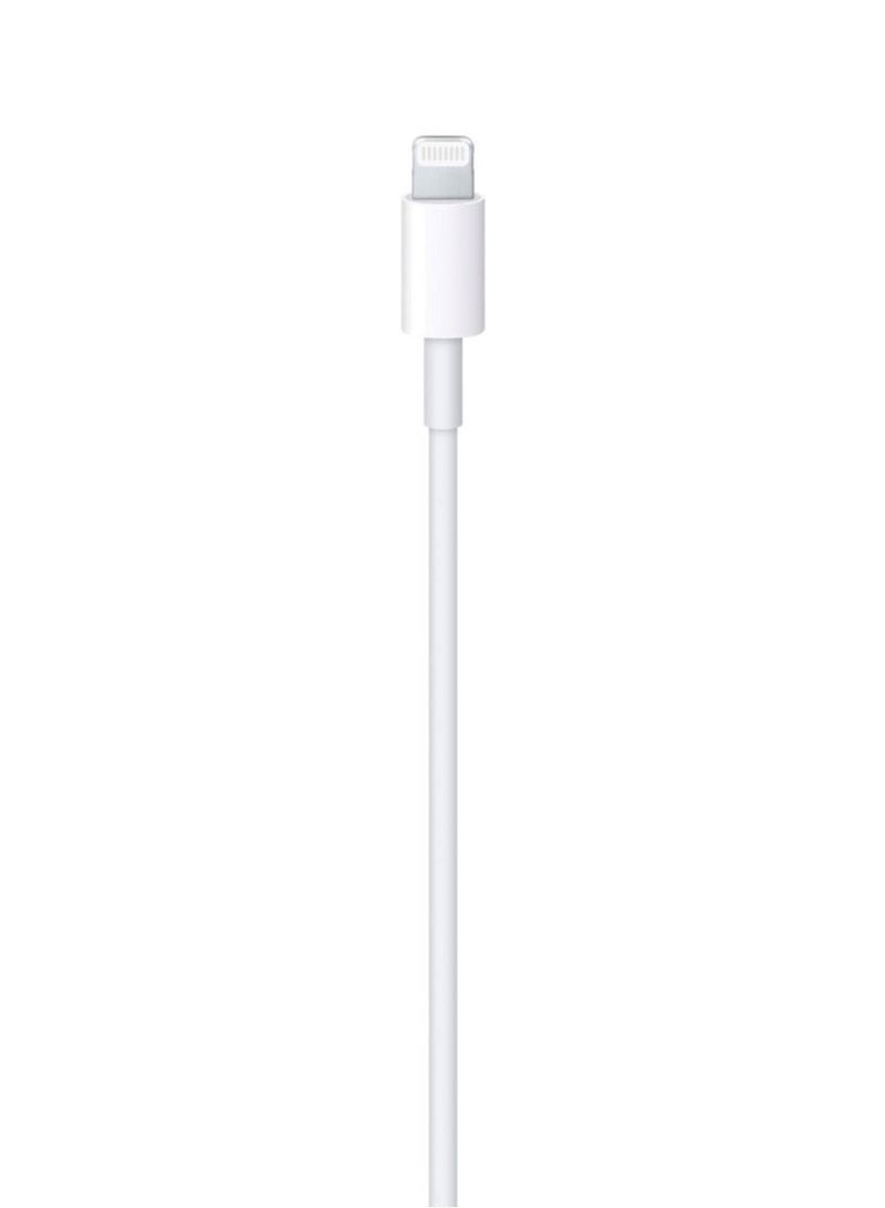 Apple USB-C to Lightning Cable – 1 Meter | Fast Charging & Data Sync - Image 1