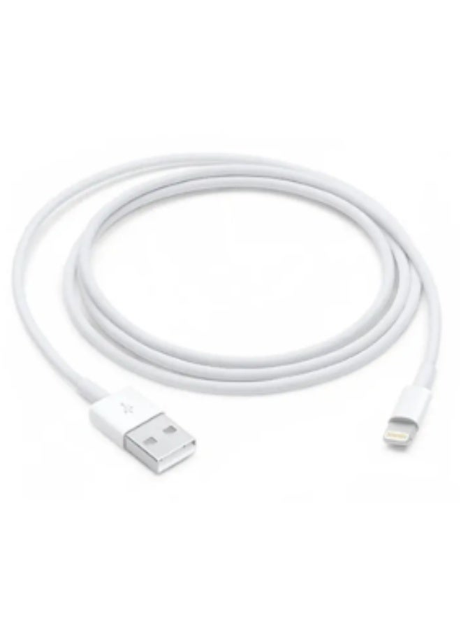 Apple USB-C to Lightning Cable – 1 Meter | Fast Charging & Data Sync - Image 2