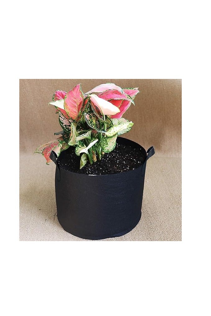1 Gallon Grow Bags, Heavy Duty Thick Fabric Pots with Reinforced Handles, Fabric Pots for Planting Vegetables and Fruits, (10 Pack) - Image 3