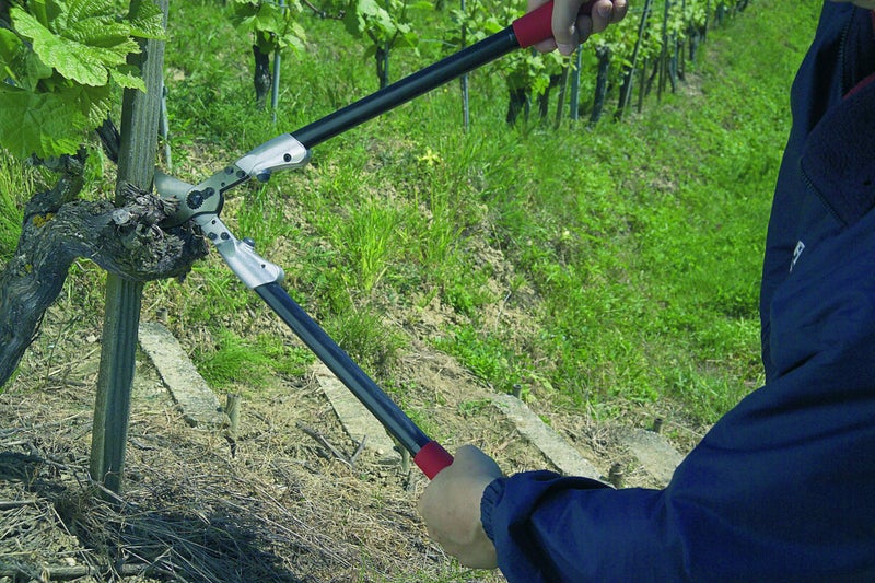 FELCO مقصات FELCO F21 المصنوعة في سويسرا للحدائق – 24.8" مقصات ثقيلة لتحسين الأشجار | قواطع فروع الأشجار | أداة تقليم الأشجار بشفرة فولاذية كربونية قابلة للاستبدال، مقبض مطروق مصمم ليدوم - Image 3