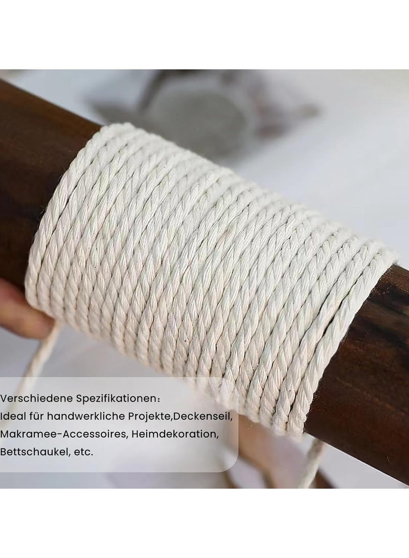 حبل من القطن بسمك 8 ملم وطول 20 متر من روستين، حبل قطني سميك من خيوط المكرمية بالوأن قوس قزح، مجموعة يدوية للحديقة والشرفة وديكور المنزل، بلون بيج - Image 4