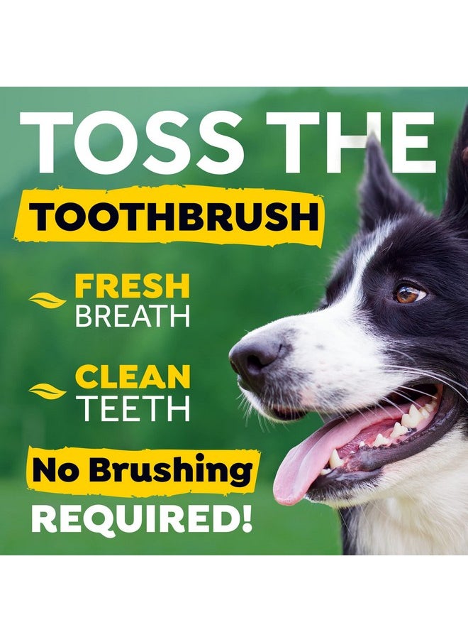 Fresh Breath Oral Care Water Additive For Dogs,8Oz - pzsku/ZBEFE538F2FB8BD81475DZ/45/_/1728312166/52b4121a-9536-47cf-9e24-595ef7ed5942