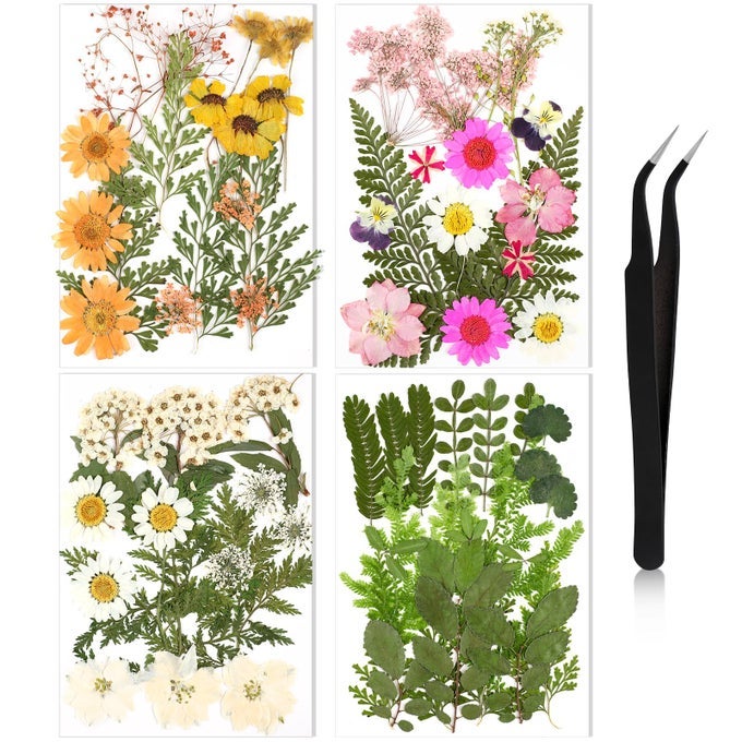 PRESSED FLOWERS FOR CRAFTS RESIN DRIED FLOWER BULK WHITE NATURAL DRIED WILDFLOWERS DAISY WITH TWEEZER FOR RESIN MOLD CANDLES CAKE DIY CHRISTMAS CRAFT CARD MAKING WEDDING SCRAPBOOKING SUPPLIES