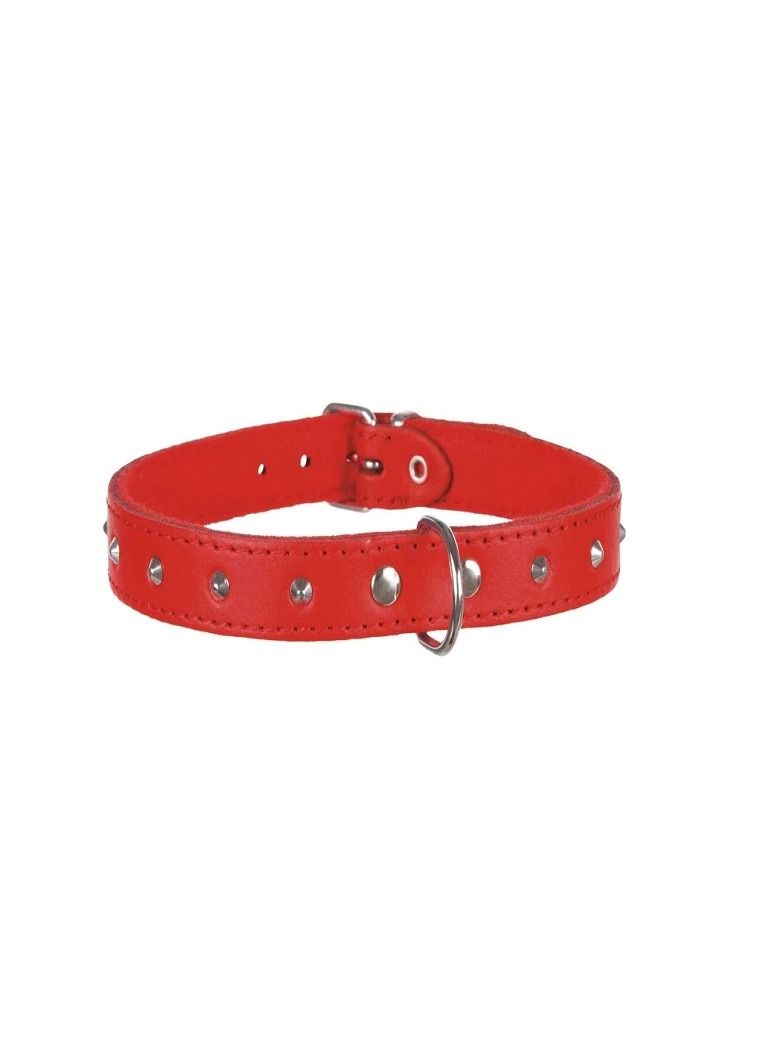 Trixie Basic Red Collar With Studs For Dogs - Image 1