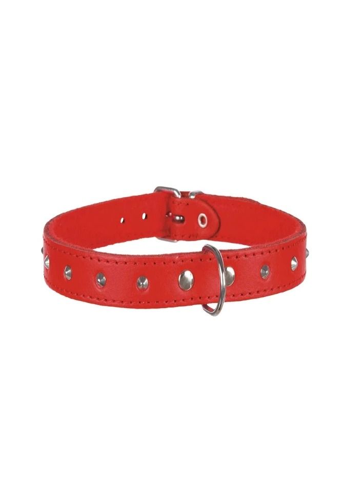 Trixie Basic Red Collar With Studs For Dogs - Image 2