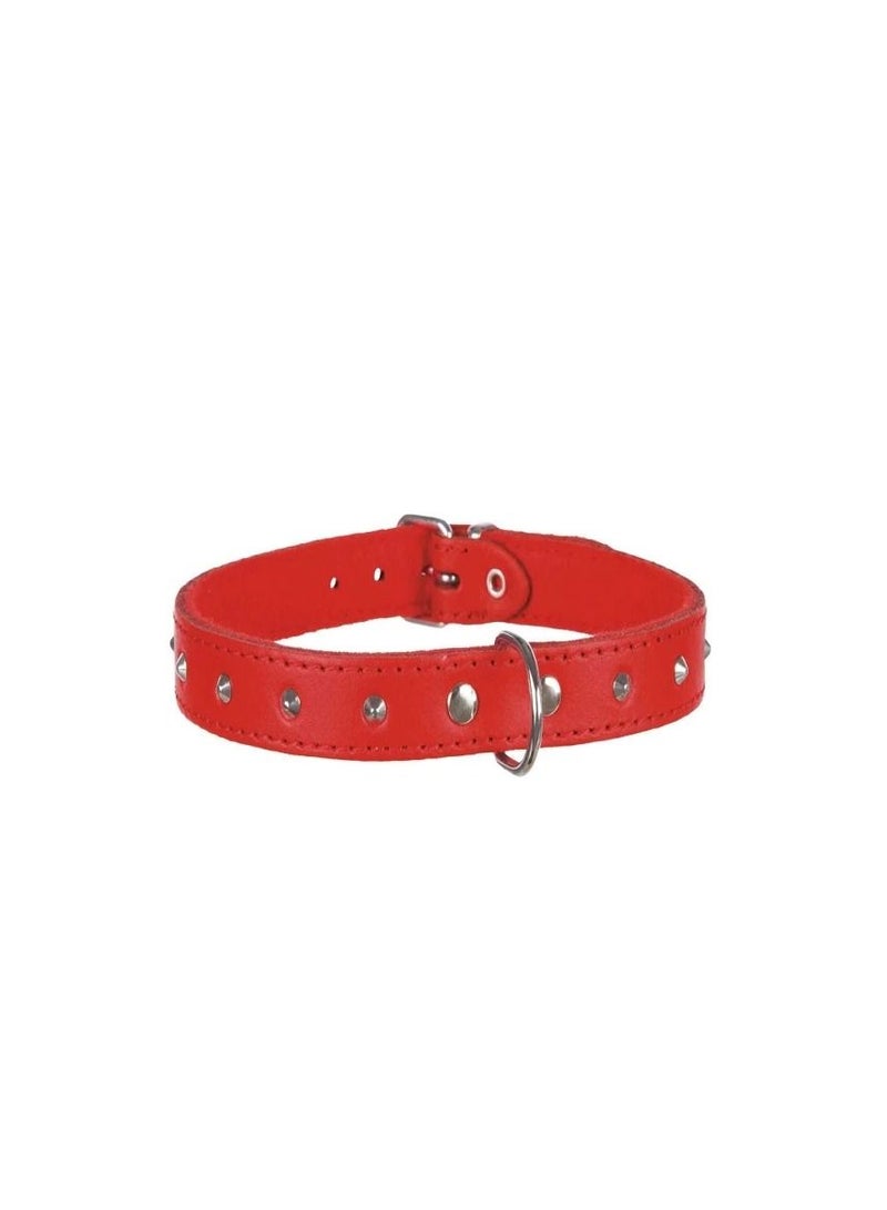 Trixie Basic Red Collar With Studs For Dogs - Image 3