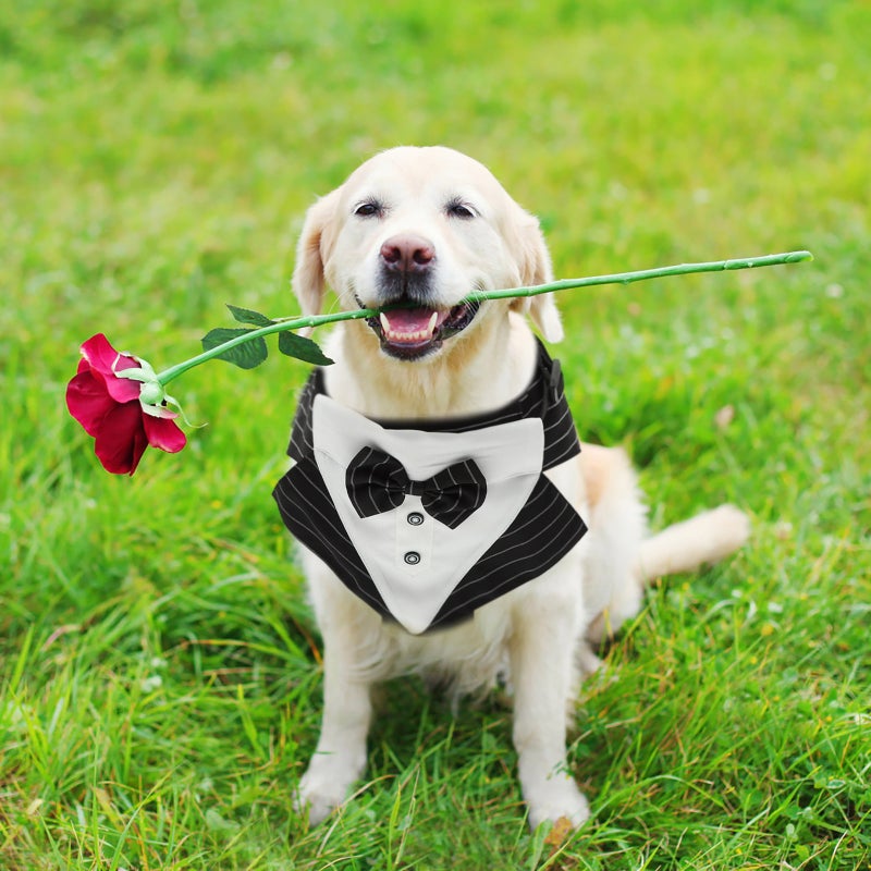 1 Set of Decorative Dog Scarf Delicate Dog Suit Wear-resistant Dog Tuxedo Dog Accessory - Image 4