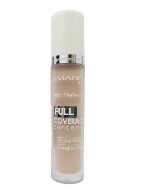 Teint Perfection Full Coverage Concealer 05