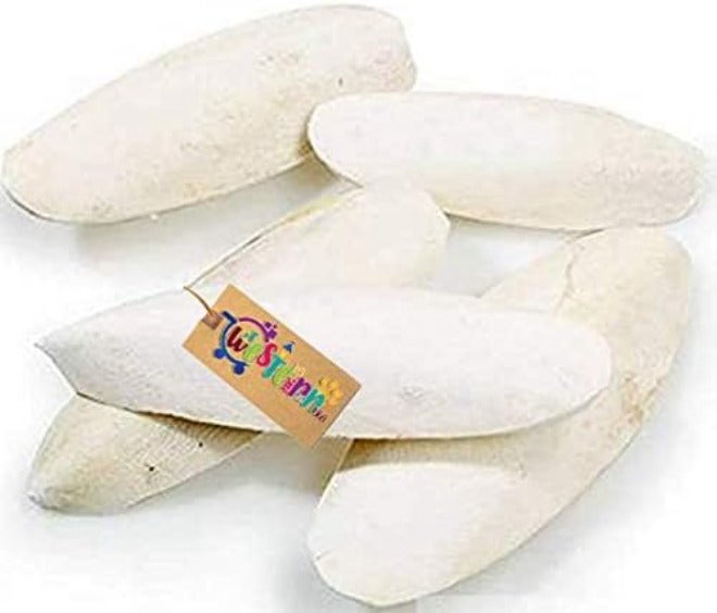 Western Era Western Time Natural High Calcium Source Rock Bone Fish for Turtle (100 Grm) - Image 3