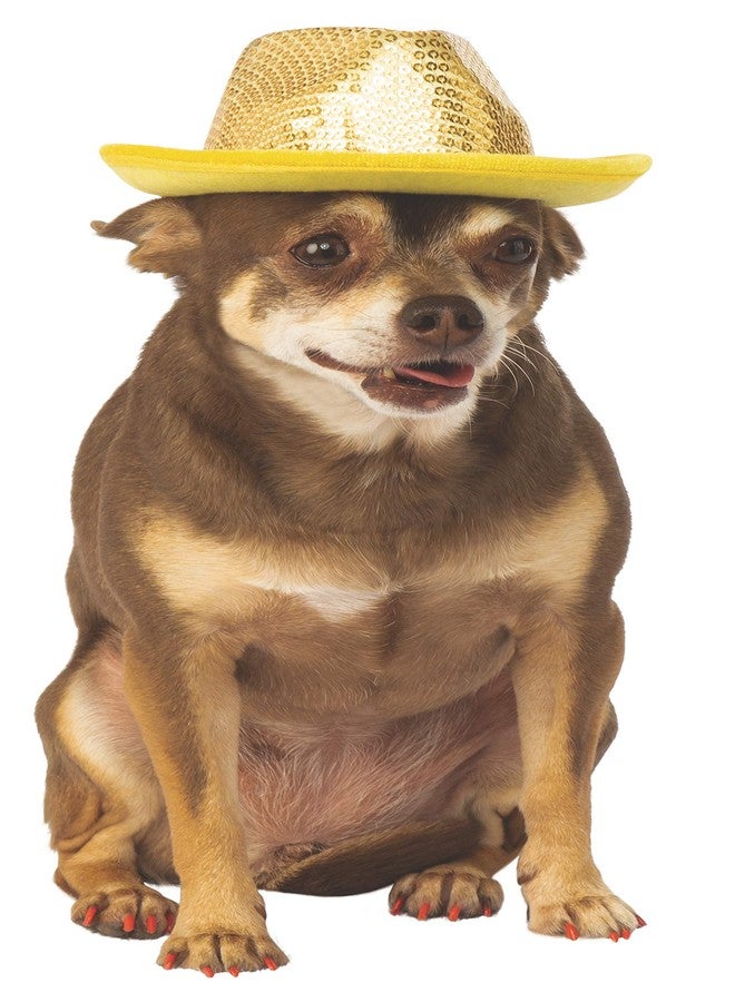 روبيز إكسسوار تنكري للحيوانات الأليفة من روبيز، قبعة فيدورا، صغير/متوسط، ترتر ذهبي - Image 1