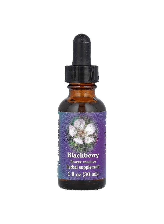 Flower Essence Services خدمات جوهر الزهور، توت العليق، جوهر الزهور، 1 أونصة سائلة (30 مل) - Image 1